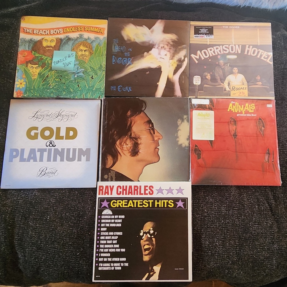 Vinyl Record Collection - Bundle 5: Rock Icons / Newer Pressings